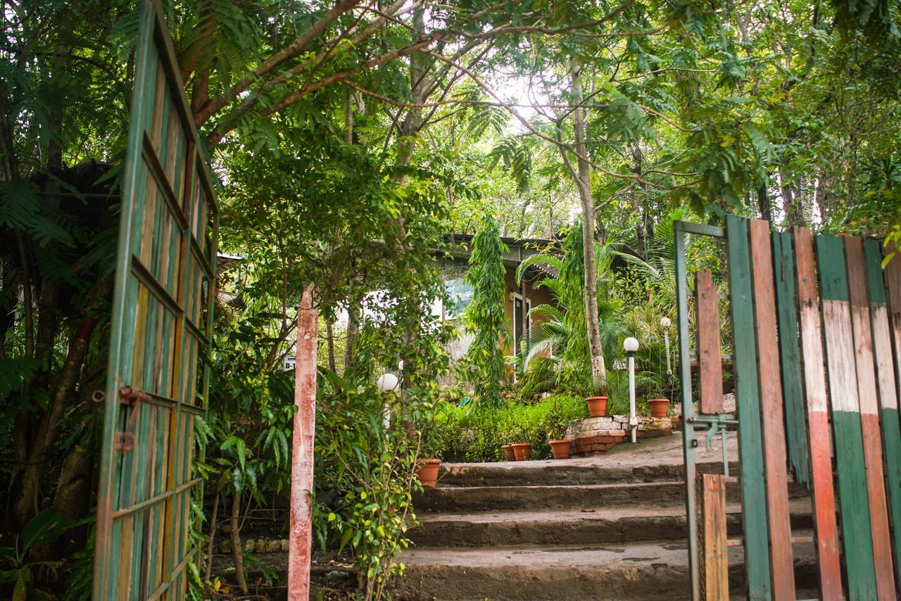 Sterling Nature Trails Dabhosa , Jawahar Birjpara المظهر الخارجي الصورة