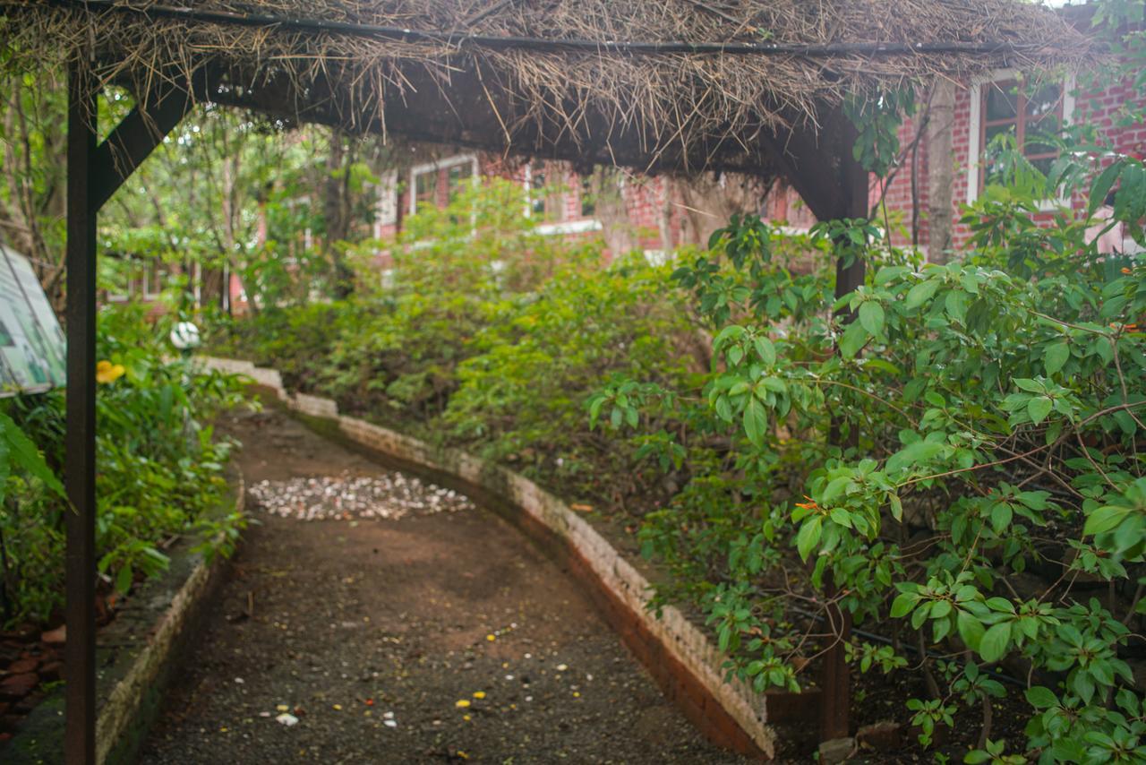 Sterling Nature Trails Dabhosa , Jawahar Birjpara المظهر الخارجي الصورة